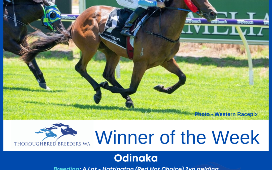 Odinaka –  TBWA Winner of the Week