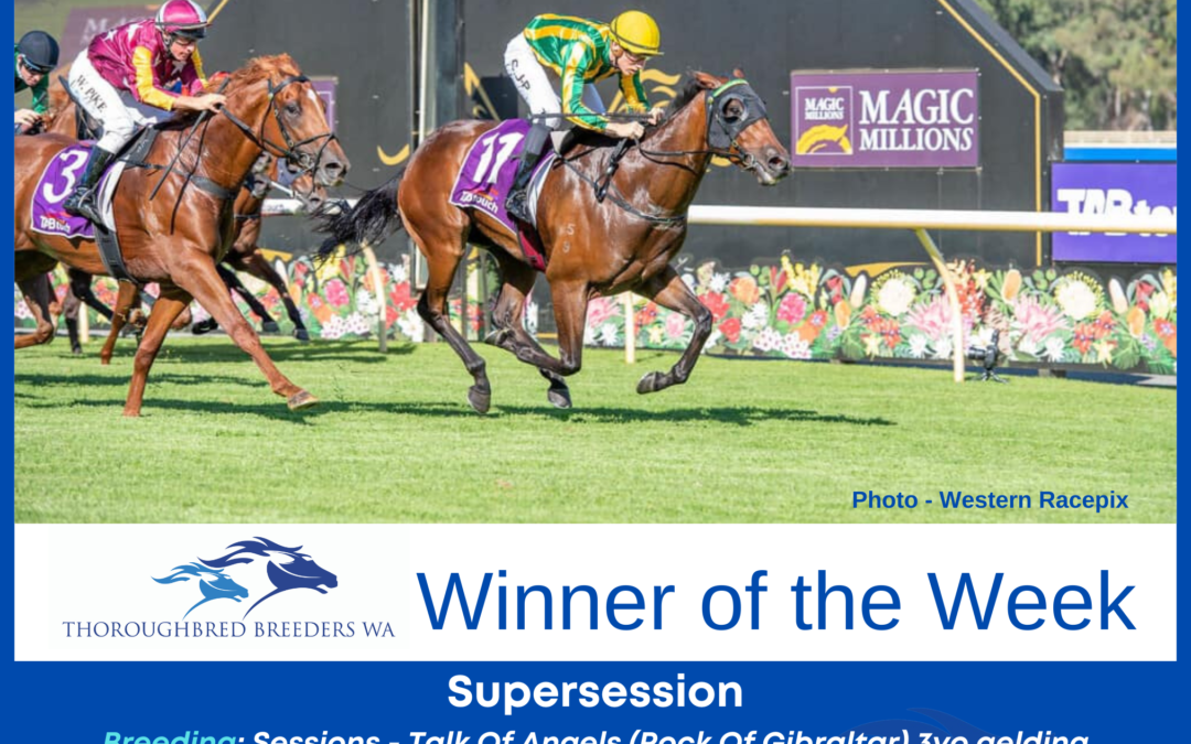 Supersession – Winner of the Week