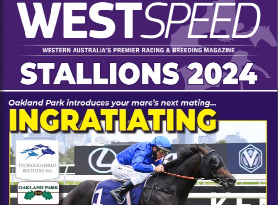 Westspeed Stallions Magazine