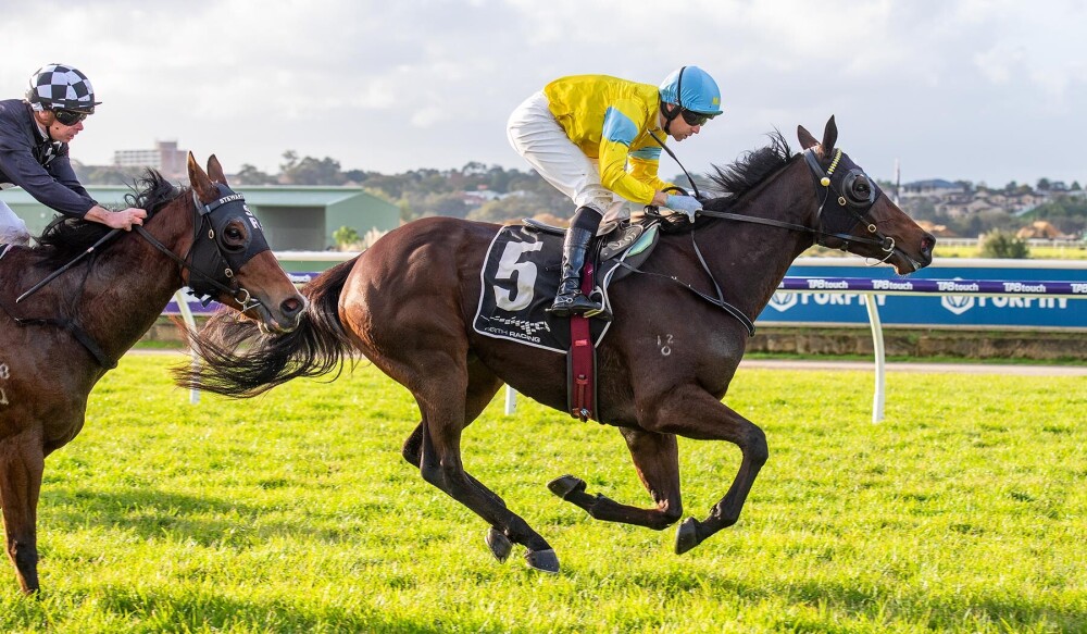 Black-type a No Brainer for Yarradale
