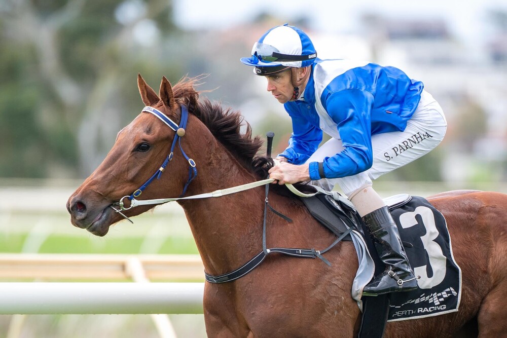 Rupert filly Rock & Rolls at Belmont