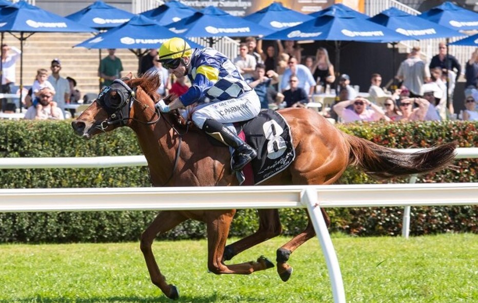 Bondi Plunge back-to-back at Belmont