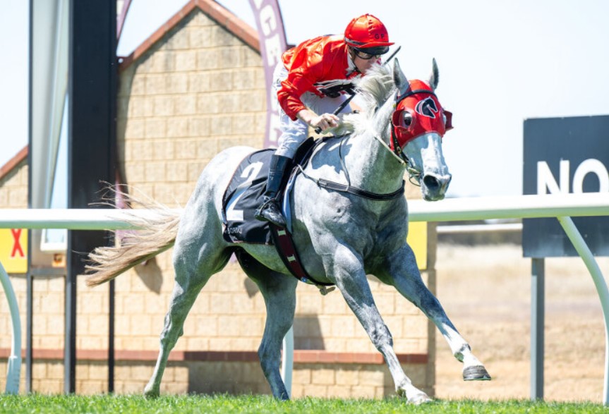 Grey winner a Ripper from Geisel Park