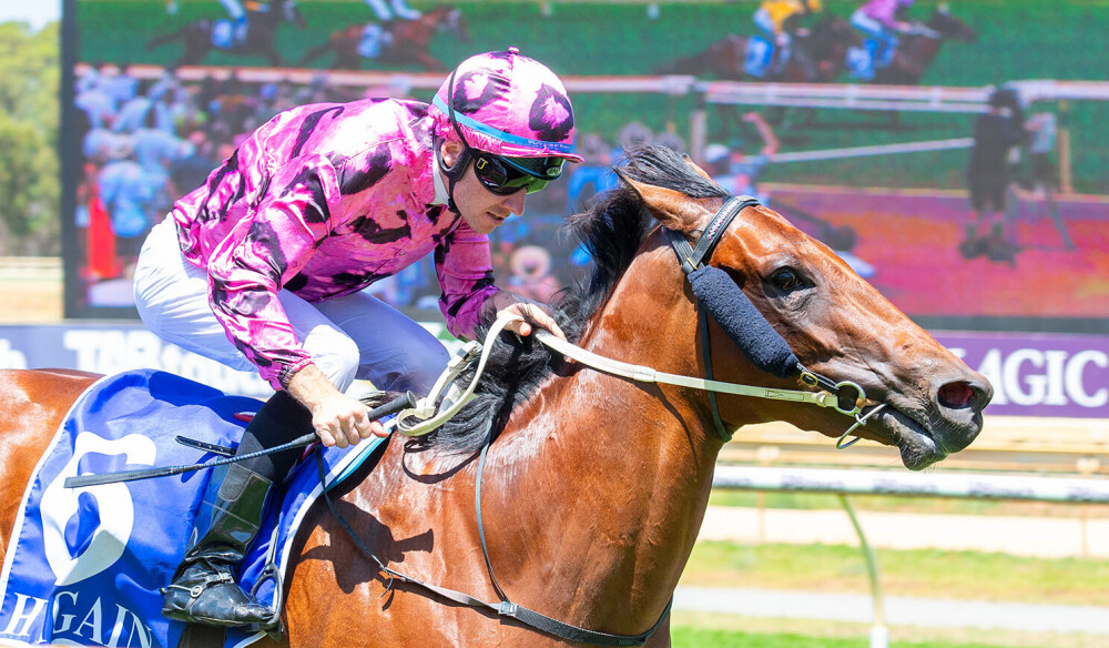 Winning roll-call on cue from Yarradale Stud