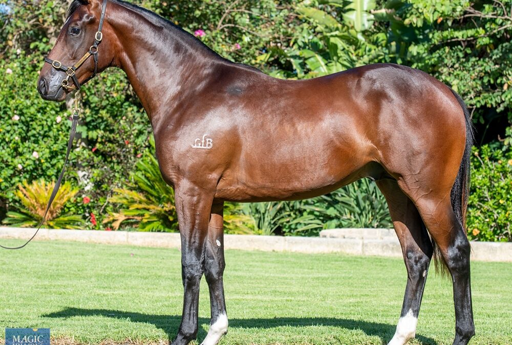 WA yearlings entered for Inglis Online Sale