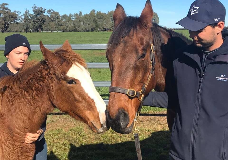 Vale, Bomber Bill: It’s hard to say Goodbye