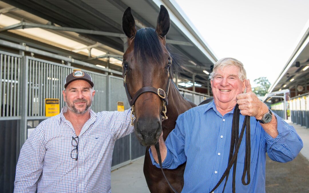 Alwyn Park tops Day 1 at Magic Millions Sale