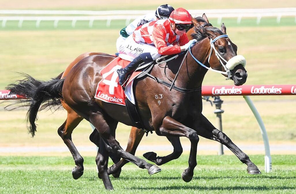 Pateman stable rising with Playing Gods