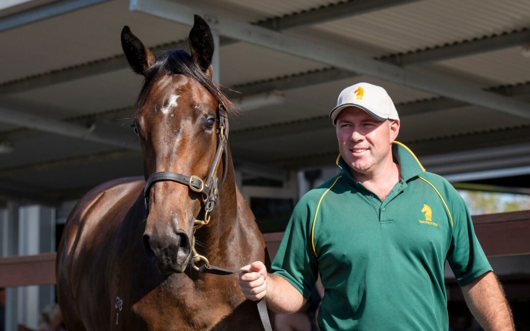 War Chant’s storied career continues at Magic Millions