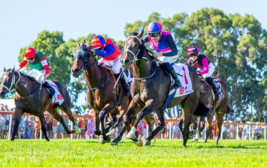 Mogumber Park clean-sweep at Magic Millions