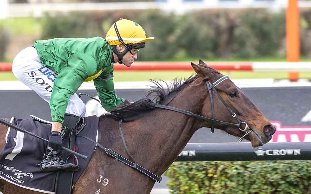 Yarradale Stud segues from Goldfields to Ascot